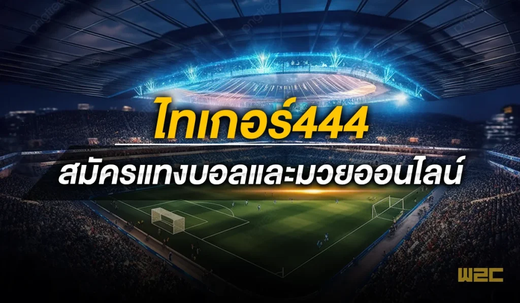 ไทเกอร์444 สมัครแทงบอลและมวยออนไลน์